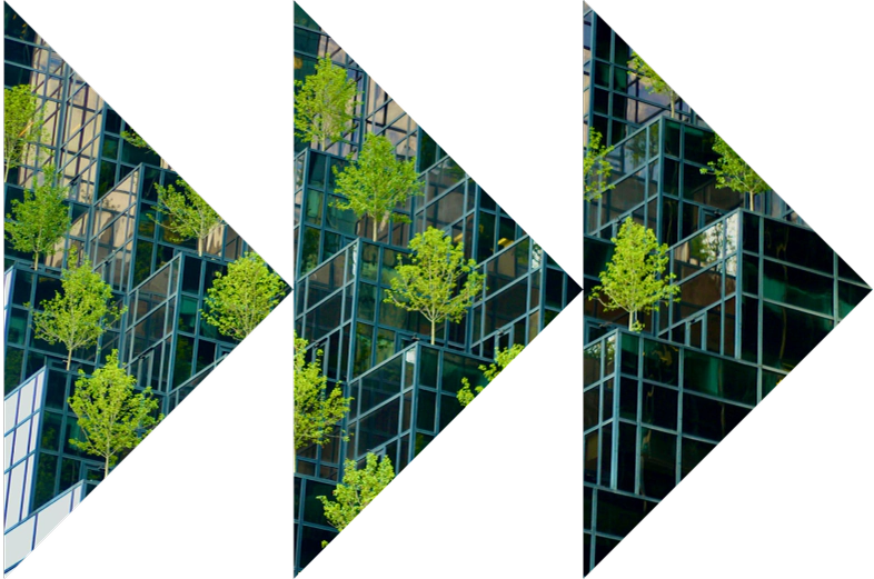 Green trees growing on modern glass building.